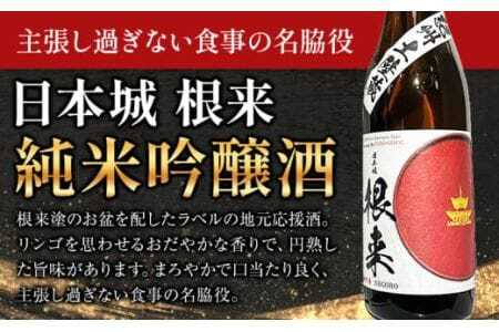 日本酒 日本城 純米大吟醸 と 根来 純米吟醸酒 呑み比べセット 2種 720ml 酒のねごろっく 《30日以内に出荷予定(土日祝除く)》日本酒日本酒