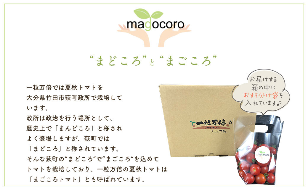 まごころミニトマトの宝石箱 1.7kg(約80～110玉)×2箱 計3.4kg サンチェリーピュア トマト