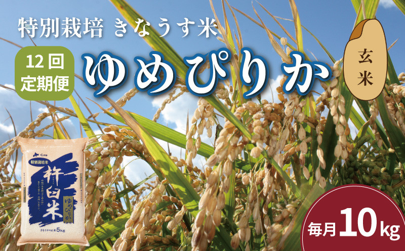
            【玄米12ヶ月定期便】特別栽培「きなうす米」ゆめぴりか10kg×12回　U003
          