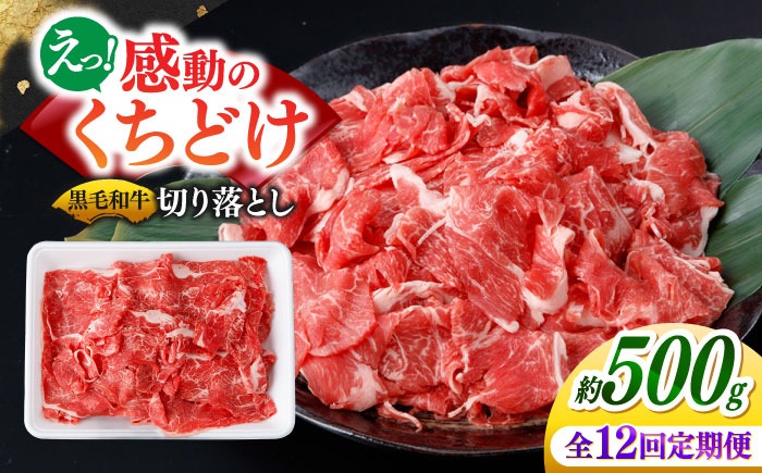 【12回定期便】国産 黒毛和牛 熟成肉 切り落とし 500g / 小分け 国産牛 お肉 牛肉 切落し 冷凍 焼肉 すき焼き / 南島原市 / ふるさと企画[SBA099]