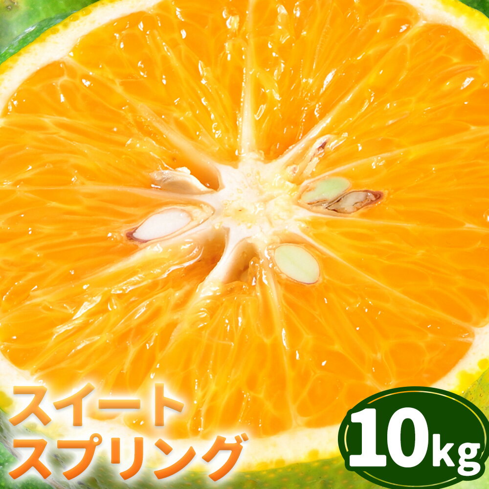 【ふるさと納税】 スイートスプリング 約 10kg 　柑橘 かんきつ 果物 フルーツ 品種 生産者直送 産地直送 南国 潮風 天草 西海岸 苓北 都呂々 国産 九州 熊本県 10キロ 送料無料《12月上旬-1月下旬頃出荷予定》