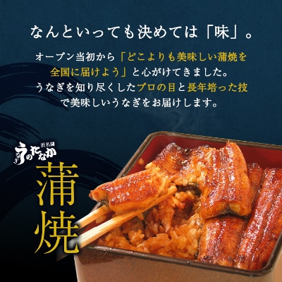 浜名湖・うなぎのたなかのふっくら柔らか国産うなぎ!特大長蒲焼3本、カット(小)1枚※合計595g程度【配送不可地域：離島】