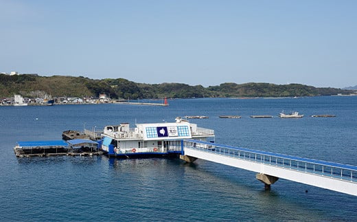 呼子名物・萬坊のいかしゅうまいせんべい。贈り物にも喜ばれます。