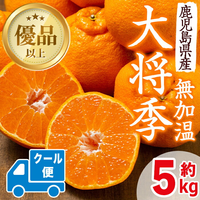 【ふるさと納税】≪先行予約受付中！2026年1月中旬以降順次発送予定≫【冷蔵便】大将季＜無加温＞ (約5kg) 国産 みかん 柑橘 種果物 くだもの フルーツ 旬 糖度抜群【JA鹿児島いずみ(果実課)】