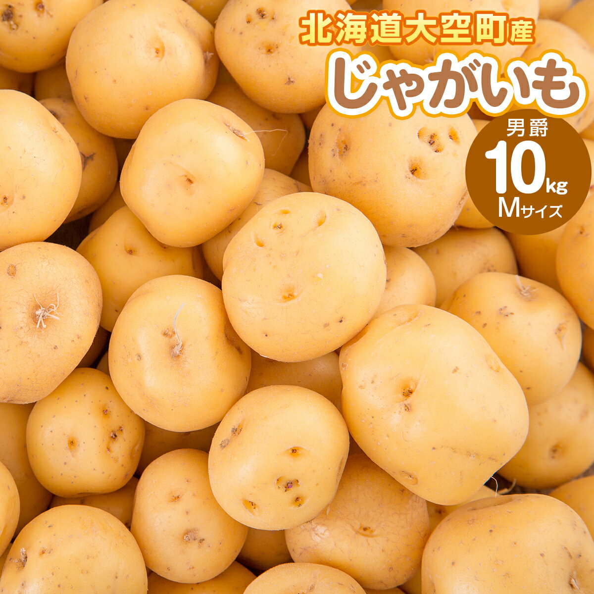 【ふるさと納税】じゃがいも(男爵) Mサイズ 10kg 大空町産【 ふるさと納税 人気 おすすめ ランキング じゃがいも ジャガイモ いも 芋 男爵 10kg M サイズ カレー 北海道産 野菜 旬 北海道 大空町 送料無料 】OSR013