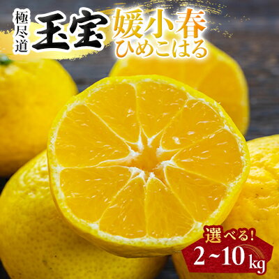 【ふるさと納税】【愛媛名産】玉宝媛小春(ひめこはる)　2kg/3kg/5kg/10kg_ みかん 媛小春 ひめこはる 玉宝 極尽道 愛媛のみかん 愛媛県オリジナル 柑橘 果物 くだもの フルーツ 美味しい 甘い フルーティー 希少品 愛媛 八幡浜市 おすすめ 人気 送料無料 【G1623968】