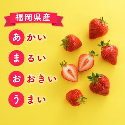 ふるさと納税 新宮町 【人気】九州・福岡フルーツ王国.旬のフルーツ定期便Kセット【あまおう】【甘うぃ】.BF028 |  | 01