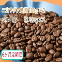 【ふるさと納税】C-40【6ヶ月定期便】カフェ・フランドル厳選　コーヒー豆　ニカラグア産(100g×2)ペルー産(100g×2)挽いた豆