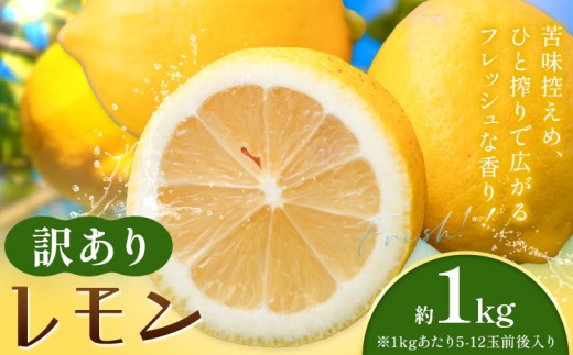 レモン 訳あり 黄色 檸檬 1kg (1kgあたり5-12玉前後) 株式会社農業福祉研究機構《2026年12月上旬-2027年2月上旬頃出荷》和歌山県 紀の川市 フルーツ 果物 お取り寄せフルーツ