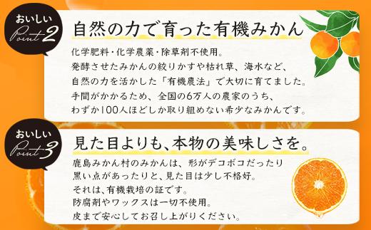 B-23 ＼希少なオーガニック果汁／ 有機温州みかんジュース 200ml×10本（合計2L） 無農薬・無添加 ストレートジュース 健康志向◎ 安心安全の自然派ジュース 九州 佐賀県鹿島市産 人気・美味