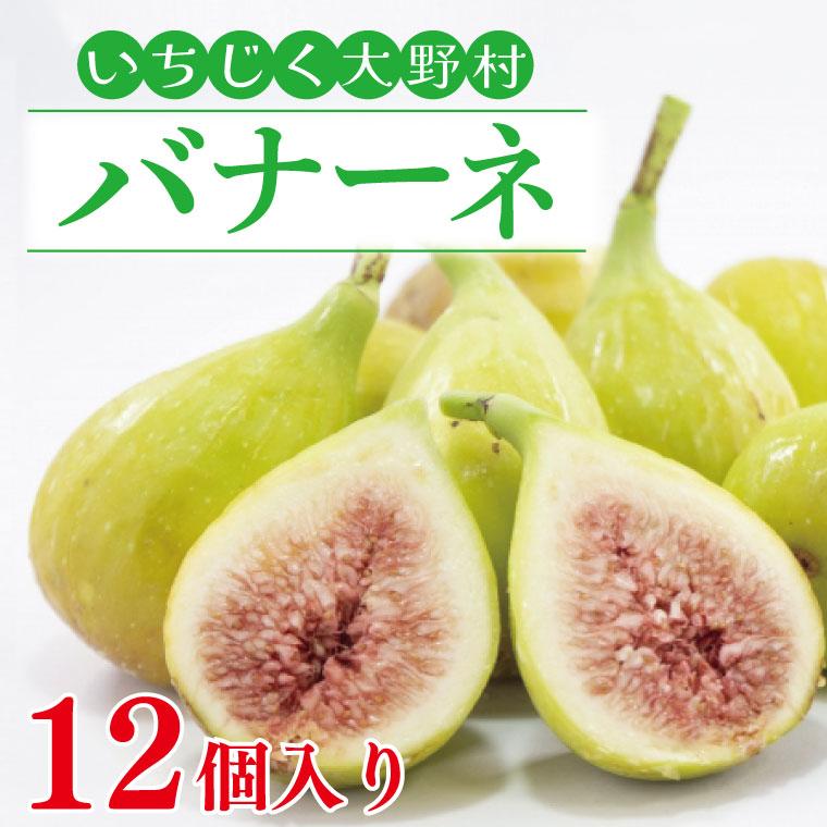 【数量限定】【先行予約】【7月～９月発送】いちじく大野村 (バナーネ) 12個入 フルーツ　果物（KAE-4）
