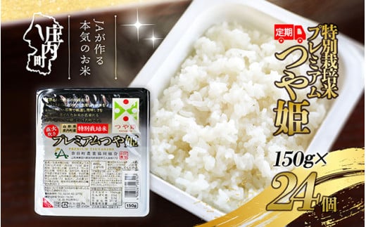 ＜8月中旬発送＞6か月定期便！プレミアムつや姫 パックごはん 24個（入金期限：2025.7.25）
