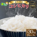 【ふるさと納税】【3ヶ月連続お届け】【白米】 令和5年度産 永平寺町産 コシヒカリ 10kg×3ヶ月（計30kg） / こめ ごはん 精米 定期便