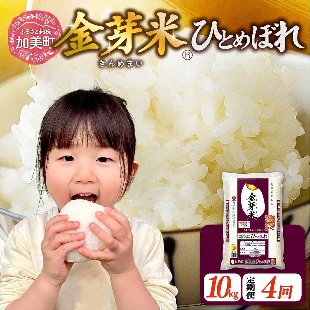【新米予約】金芽米 定期便 無洗米 10kg (5kg×2袋)× 4ヶ月 計 40kg 令和8年 米 特別栽培米 ひとめぼれ 宮城県 加美産 BG無洗米 [ 宮城県 加美町 ] km-km-knm10-t4-r8 | km-km-knm10-t4-r8