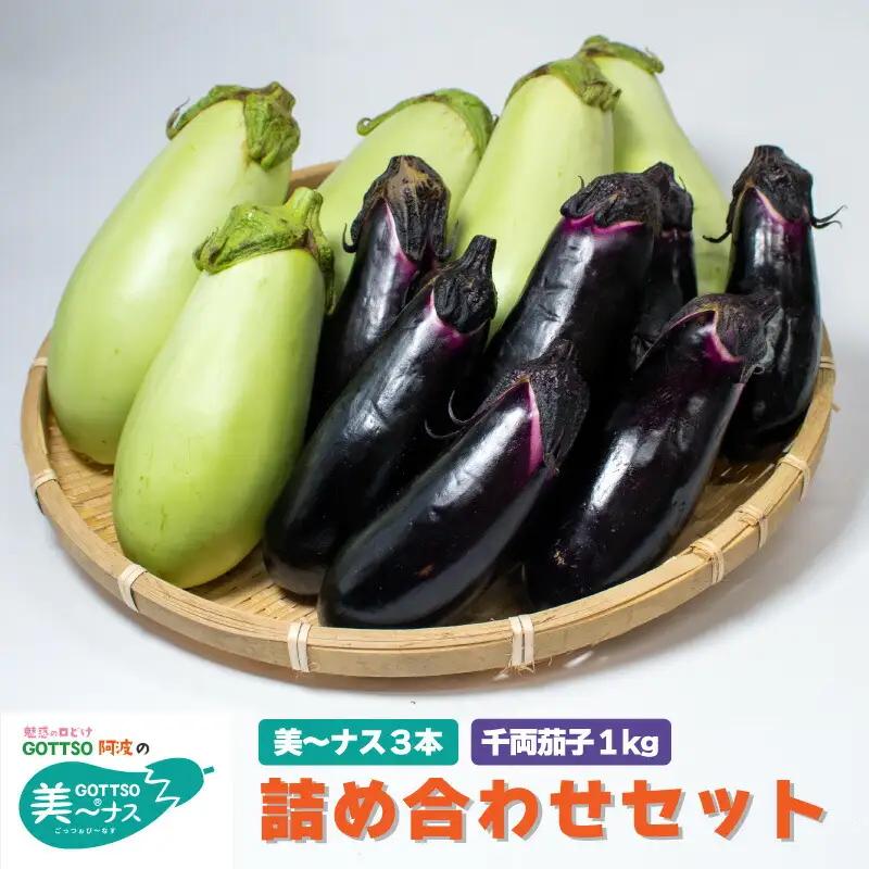 千両茄子 約1kg 美～ナス 3本 詰合せ 翡翠茄子 千両なす 茄子 ナス なす