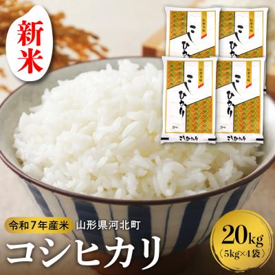 ふるさと納税 河北町 【令和7年産米】2025年11月下旬発送 コシヒカリ 20kg 山形県産 【米COMEかほく】