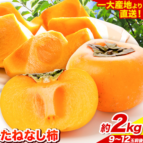 【先行予約】たねなし柿（刀根早生柿・平核無柿）約2kg（9～12玉前後）《2025年9月中旬-11月上旬頃出荷》 和歌山県 紀の川市 種なし柿 産地直送 柿 果物 フルーツ 2L～Mサイズ カキ
