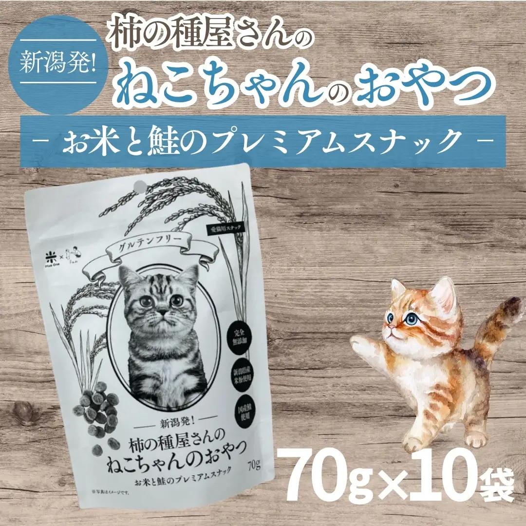 柿の種屋さんのねこちゃんのおやつ お米と鮭のプレミアムスナック 10個セット 阿部幸製菓