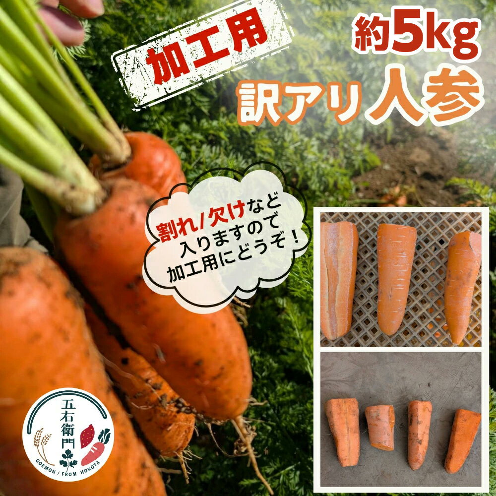 【ふるさと納税】五右衛門の 訳あり人参 約5kg 加工用 （サイズ 品種 大きさ 全て混載）にんじん ニンジン キャロット 鉾田 茨城 訳あり わけあり ワケアリ 規格外