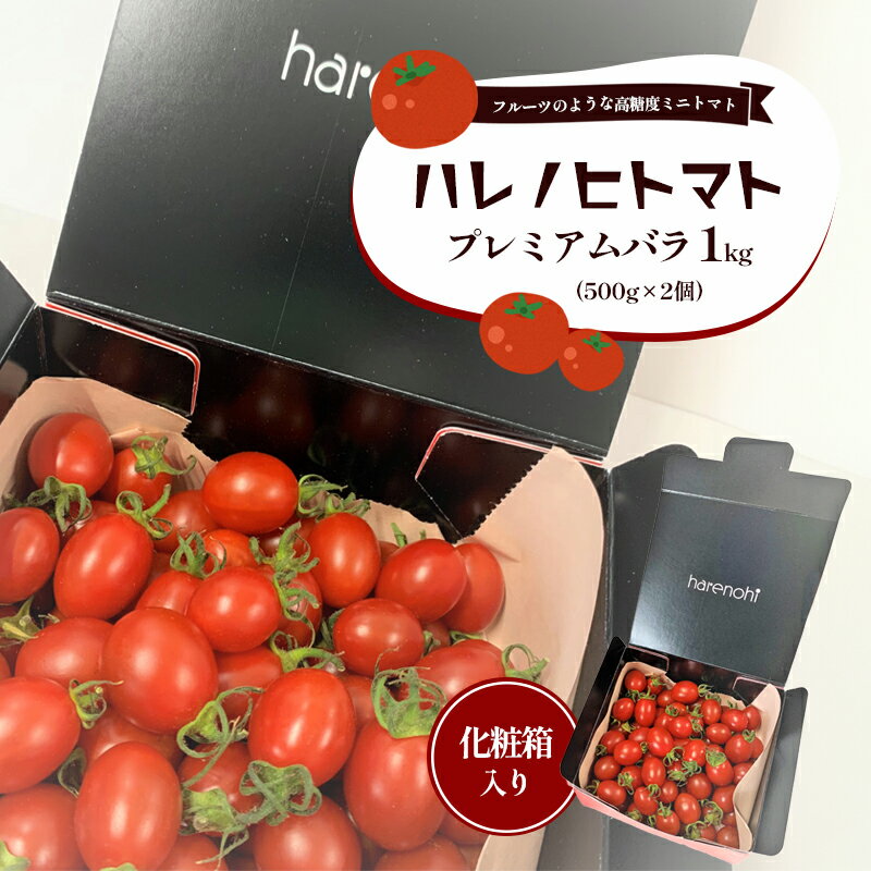【ふるさと納税】ハレノヒトマト プレミアムバラ1kg［糖度11度以上 500g×2個 ミニトマト とまと 野菜 フルーツトマト 化粧箱］　野菜・ミニトマト