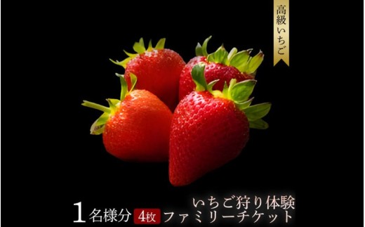 【体験】いちご狩り体験ファミリーチケット maato003A