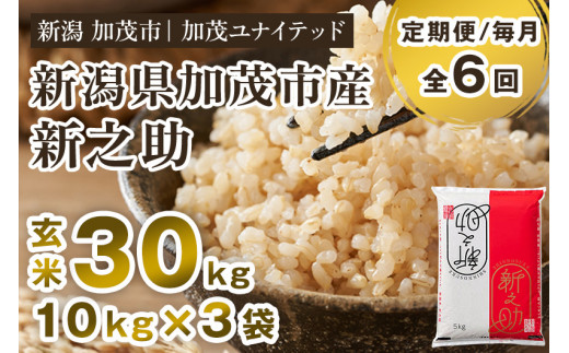 【令和7年産】【定期便6ヶ月毎月お届け】新潟県産 新之助 玄米30kg（10kg×3袋）《順次発送》 新潟県産新之助 新潟産新之助 加茂市産新之助 新之助 しんのすけ 新潟 ブランド米 新之助 加茂市 加茂ユナイテッド