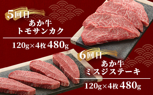 【定期便6回】あか牛希少6種のステーキ 定期便 < サーロイン600g・ランプ450g・ヒレ360g・三角バラ480g・トモサンカク480g・ミスジ480g > 【 牛肉 お肉 ステーキ あか牛 定期