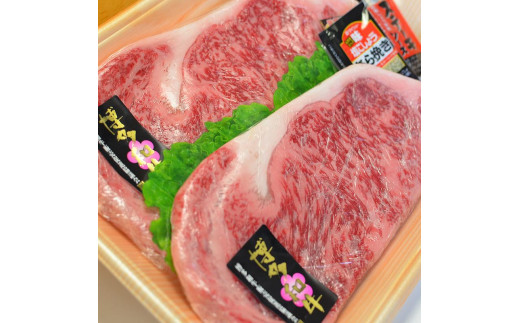 博多和牛A5～A4 ロースステーキ200g×2枚(合計400g)　ソース・塩胡椒付【化粧箱入】