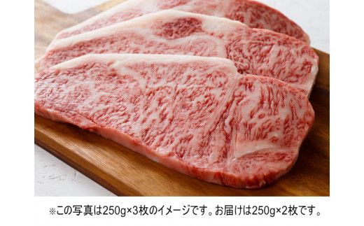 
佐賀牛サーロイン ステーキ2枚 （250g×2）
