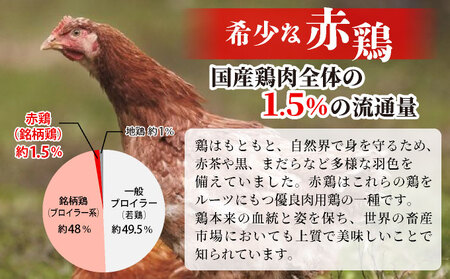 鶏肉 丹波赤どり 手羽元 約4kg（2kg×2パック）訳あり鶏肉