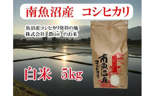 【令和8年産 新米】【南魚沼産】コシヒカリ 白米5kg【銘柄米 ブランド米 精米 こしひかり コシヒカリ 魚沼産 新潟米 産地直送 お米 米 こめ コメ ご飯 御飯 ごはん】