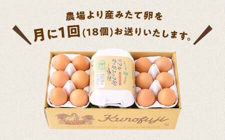 【10ヵ月定期便】リアルオーガニック卵 18個×10ヶ月 卵 たまご タマゴ 玉子 鶏卵 山梨 黒富士農場 産みたて 新鮮 自然卵 放牧卵 たまごかけご飯 平飼い 定期便 オーガニック 冷蔵 甲斐市 