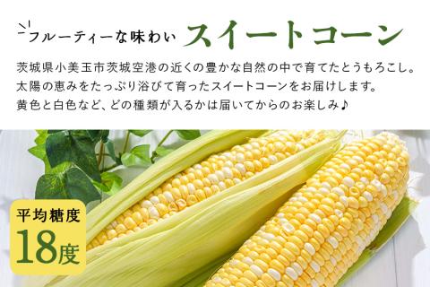 【数量限定 先行予約】＜2025年夏発送予定＞ 【3回定期便】【Juwari-じゅわり-】お楽しみとうもろこし 4kg以上 とうもろこし トウモロコシ 41-G