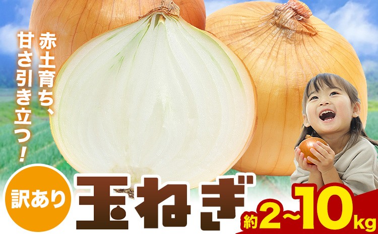 
                  玉ねぎ 料理に使いやすい！産地直送訳あり 玉ねぎ 選べる 約 2kg 5kg 10kg 株式会社シグマサポート《2026年4月下旬-6月上旬頃出荷》三重県 東員町 玉ねぎ 玉葱 タマネギ たまねぎ 野菜 甘い 送料無料
                