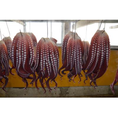 ふるさと納税 苫前町 【北海道苫前産のタコ使用】酢蛸　1kg(たこ・道産・正月・おせち・つまみ・肴・茹で・ボイル・冷凍) |  | 03