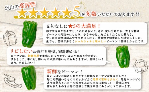 訳あり・北海道恵庭産ピーマン　1kg