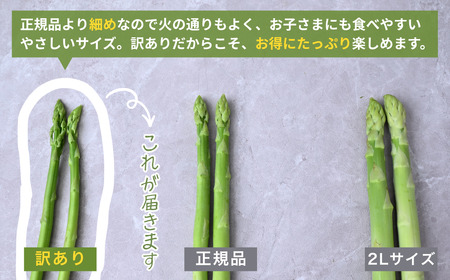 アスパラガス 朝採れ！新鮮！訳ありグリーンアスパラガス B品 1kg | アスパラガス アスパラガス アスパラガス アスパラガス アスパラガス