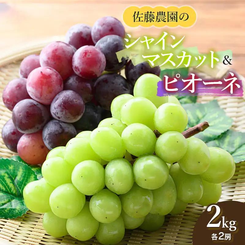 【令和8年産先行予約】 シャインマスカット・ピオーネ (各2房ずつ) 約2kg　佐藤農園