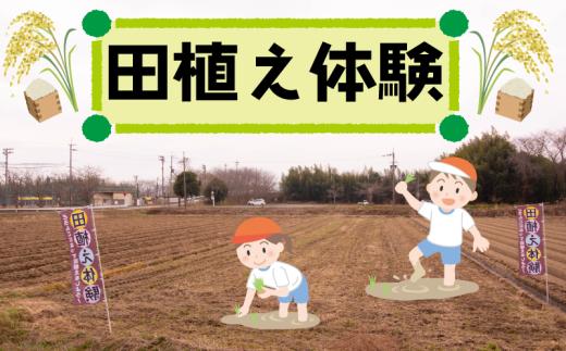 【参加日 2025年5月11日 13時~】 田植え体験 チケット 1名 田植え 体験 1名様分 体験系 たうえ たいけん 田んぼ 米 こめ コメ お米 滋賀県 竜王町 ふるさと納税 子供 学習