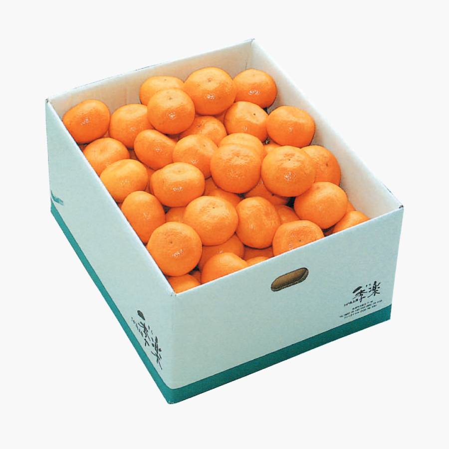 佐賀県産さが美人　５kg