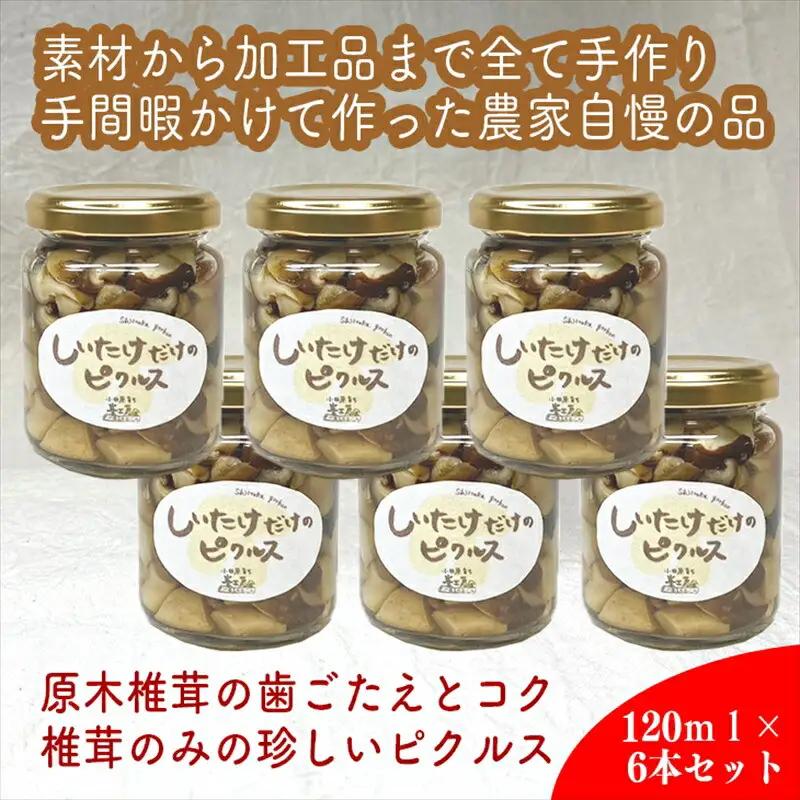 しいたけだけのピクルス 6個セット【 家庭用 自宅用 贈答品 贈答用 ギフト お取り寄せ お中元 お歳暮 贈り物 お祝い 神奈川県 小田原市 ピクルス ピクルス】