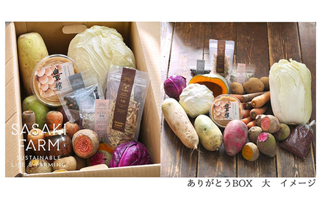 旬の野菜詰め合わせ ～ありがとうBOX2026・大～ 12月1日～1月31日頃お届け 先行予約 北海道 野菜 やさい 詰め合わせ セット 北海道産 常備菜 加工品 自然栽培 佐々木ファーム 産地直送 