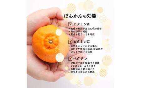 【先行予約】Lサイズ ぽんかん 5㎏　MS2 [MS-02] 【まるしょう農園】