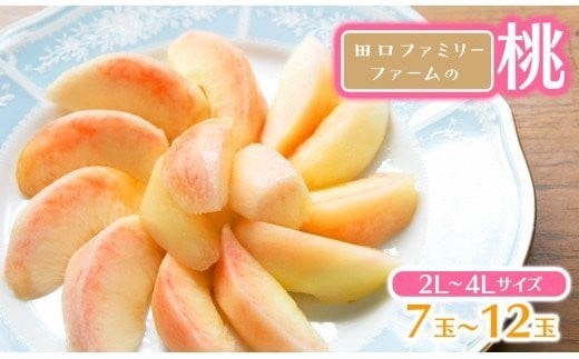 
            【田口ﾌｧﾐﾘｰﾌｧｰﾑ】旬の桃 2L～4L(7～12玉)(2025年6月中旬発送開始) N053-YZA466
          
