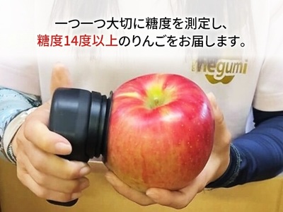 サンジョナゴールド 訳あり 高糖度 青森県産 サンジョナゴールド【約5kg 10〜16玉】