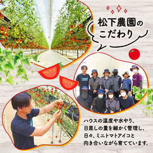 松下農園のミニトマトアイコ ミニトマト 2.1kg 2026年1月中旬から発送 アイコ とまと トマト 夏 新鮮 野菜 サラダ 完熟 農家直送 松下農園 牧之原市 静岡県