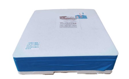 【価格改定予定】しらす たっぷり 釜揚げシラス 1kg 天然 国産 駿河湾 干物 送料無料 しらす干し 1kg 