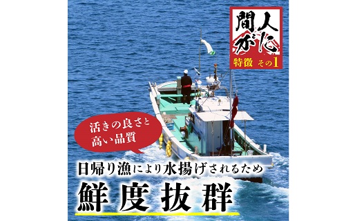 （訳あり）活間人がに　2匹　Cセット　11/22～12/21発送予定 平七水産　間人がに 間人ガニ 間人蟹 たいざがに たいざガニ