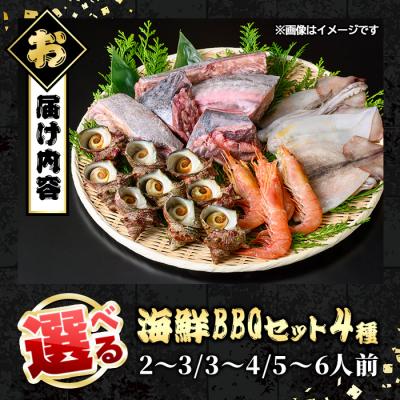 ふるさと納税 境港市 <数量限定>海鮮BBQセット4種(5〜6人前) |  | 03