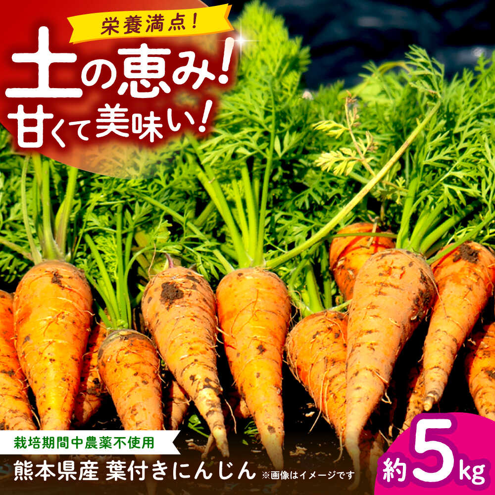 【ふるさと納税】【先行予約】葉付きにんじん 約5kg　天日塩＆発酵土壌で作ったこだわりの人参 【株式会社 夢アグリ】[ZCL021]